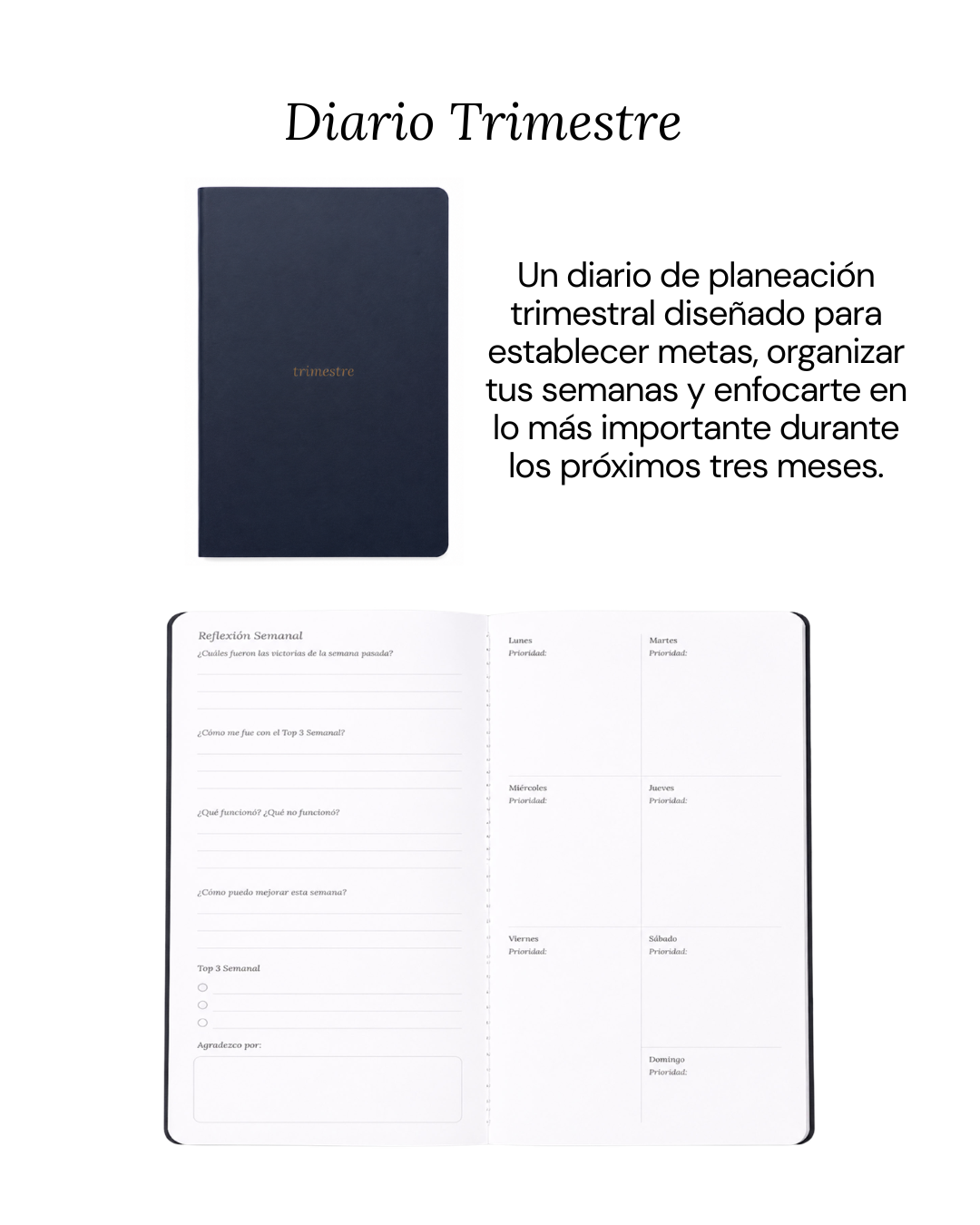 Combo Básico