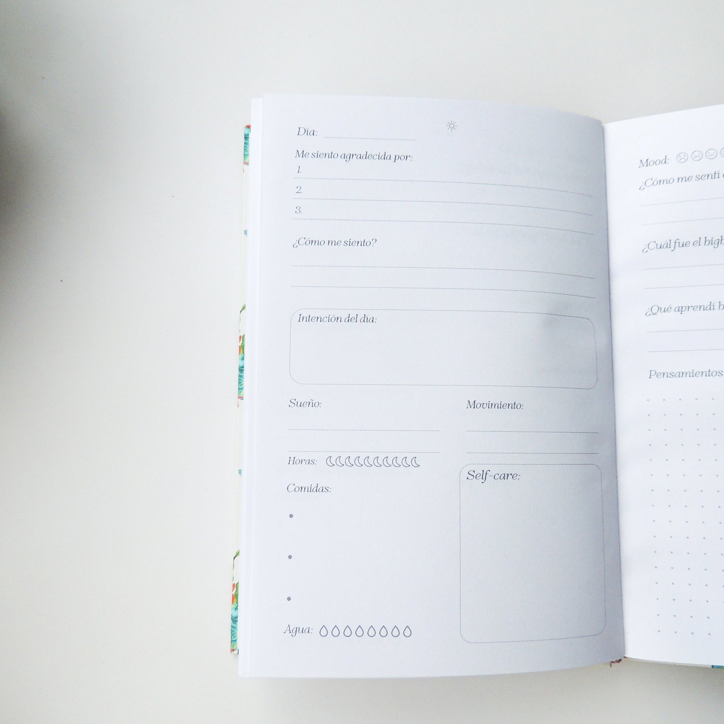 Journal de Bienestar