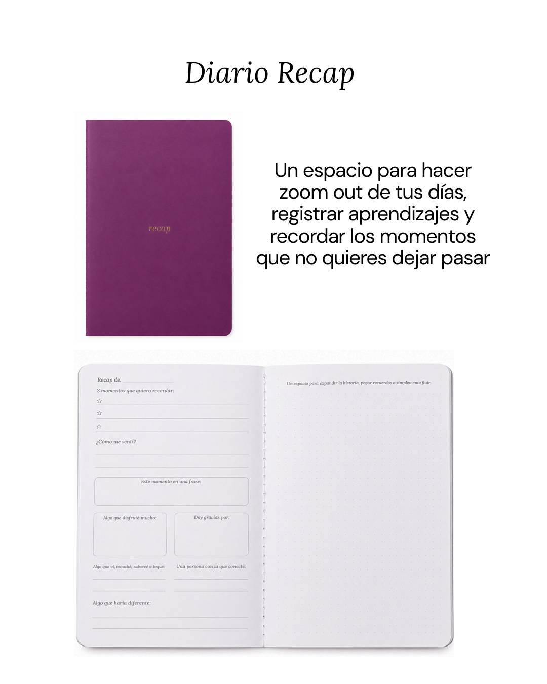 Combo Básico