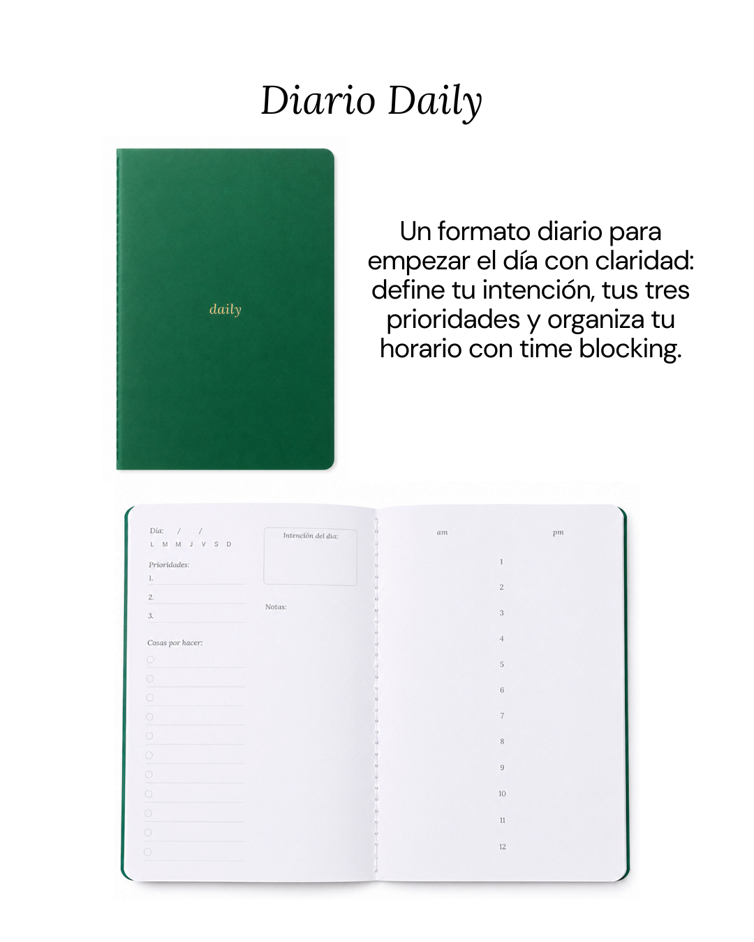 Combo Básico