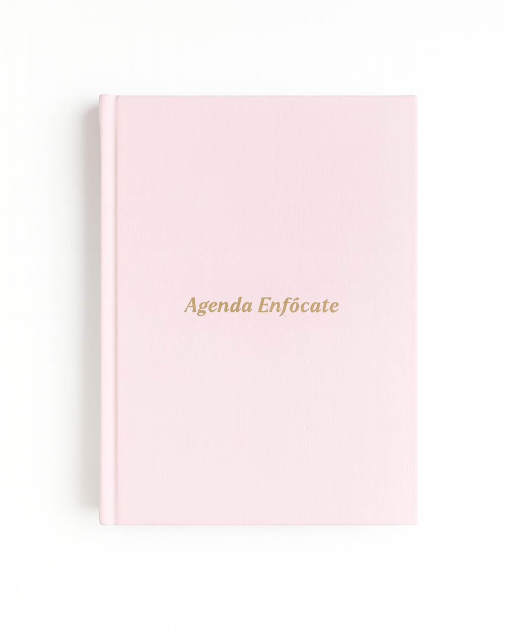 Agenda Enfócate