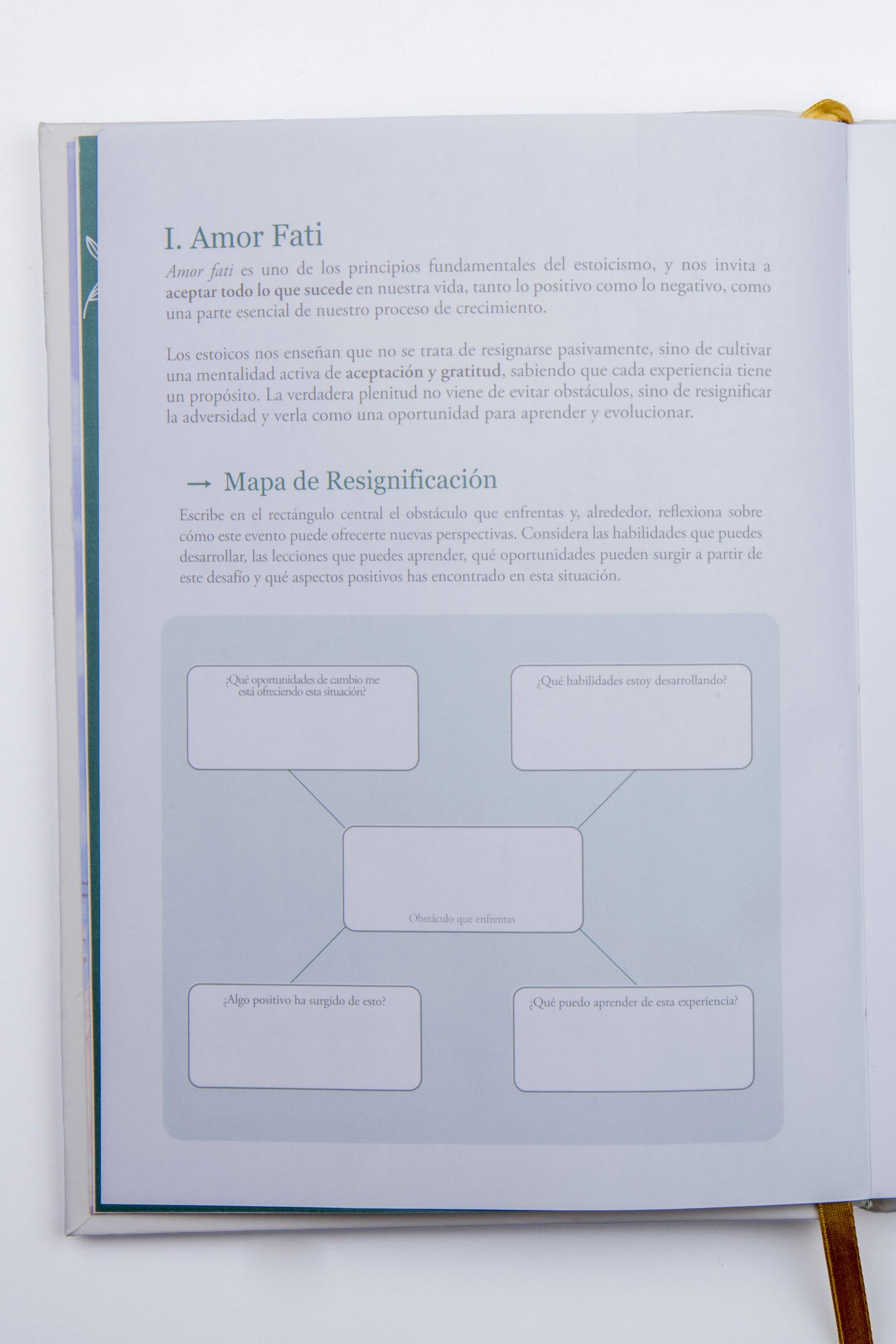 Kit Estoicismo