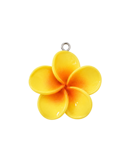 Charms