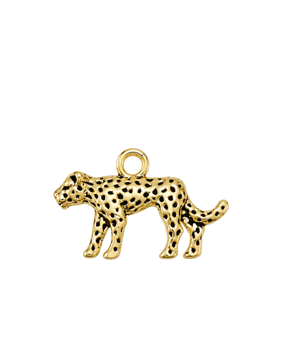 Charms