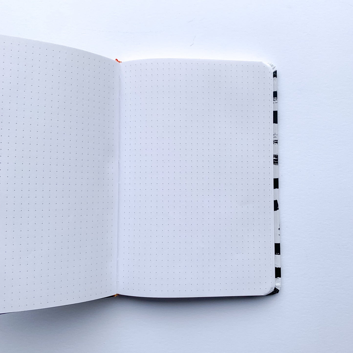 Journal Líneas